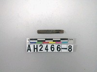 藏品(石針殘件)的圖片